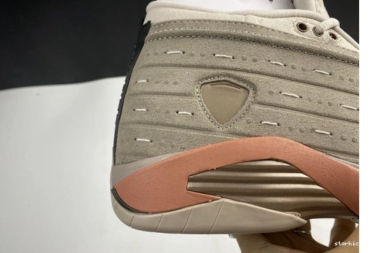 14 Jordan DC9857-200 Low Blush DC9857-200 AIR Retro Terra Clot 0323